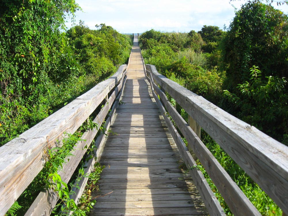 lange Holzbrücke im Grünen