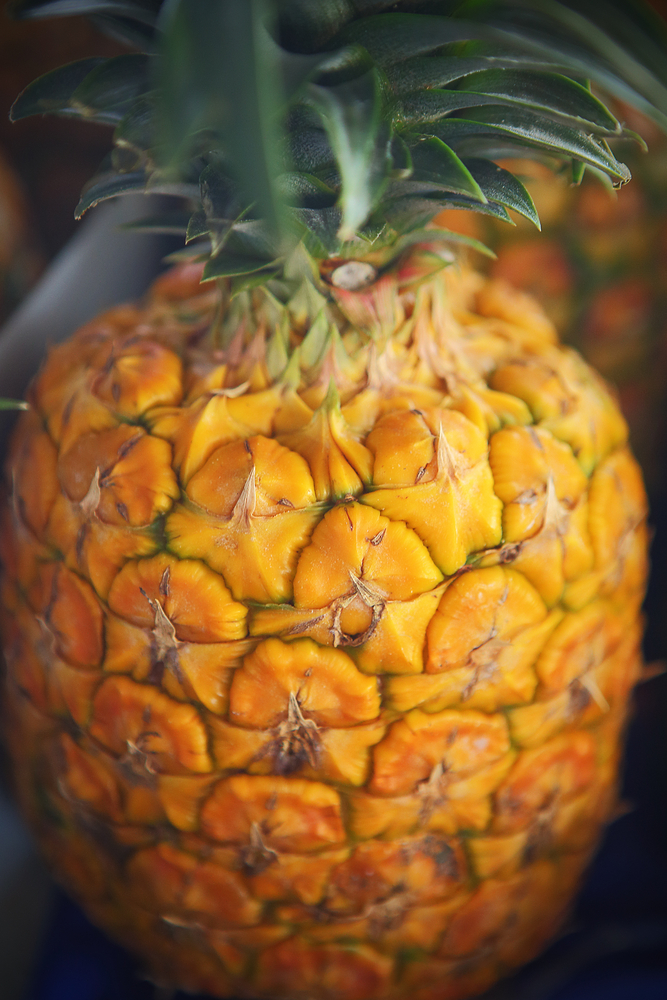 Hilo Ananas