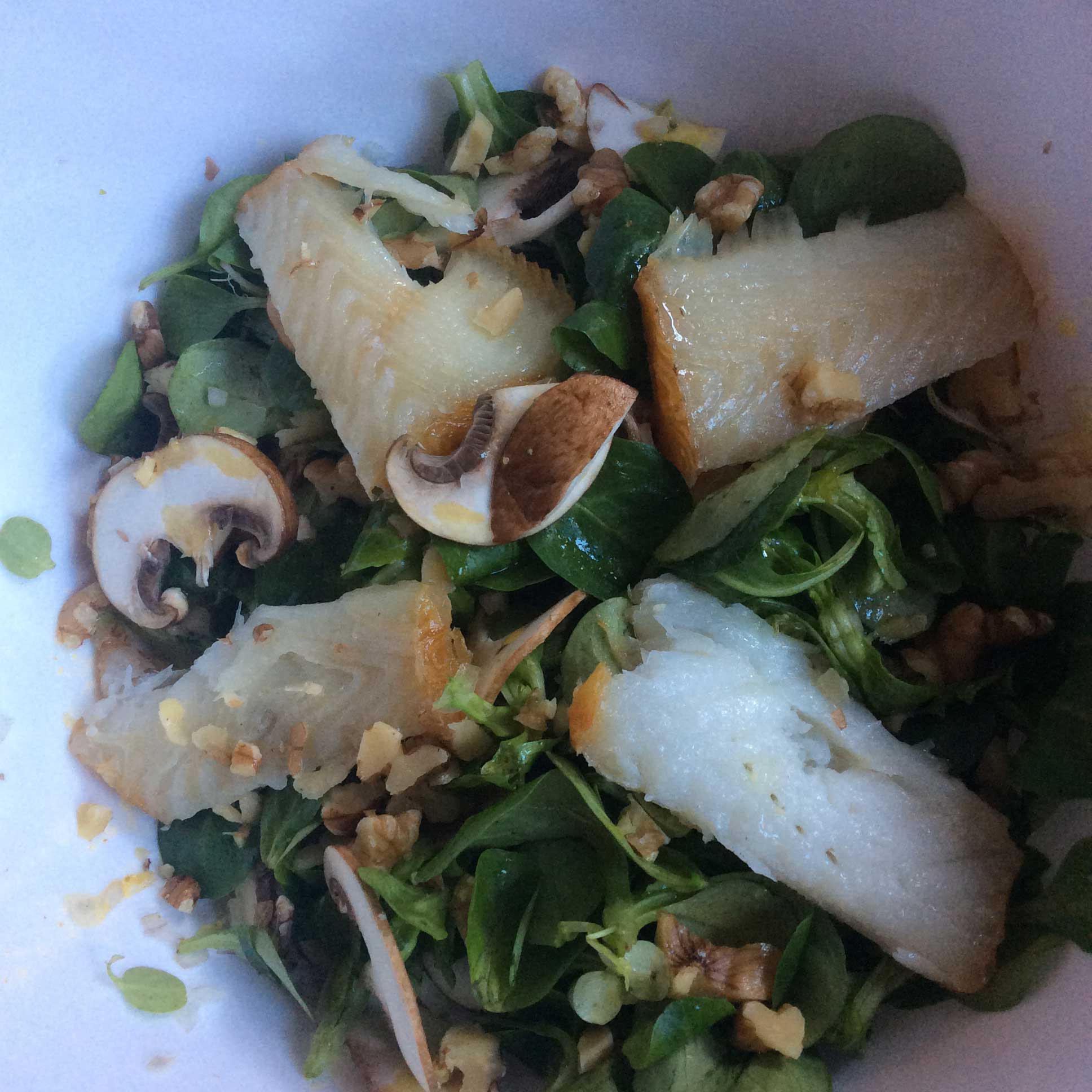 heidi_jaiser_feldsalat_raeucherlachs_champignons_web