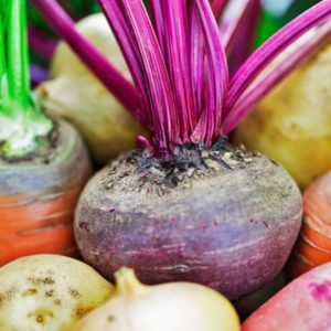 Themenschwerpunkt November: "Die Stärkefaust, Teil 1: Wurzeln, Gemüse und Obst"