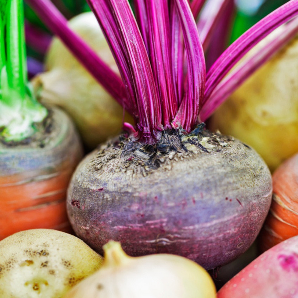 Themenschwerpunkt November: "Die Stärkefaust, Teil 1: Wurzeln, Gemüse und Obst"