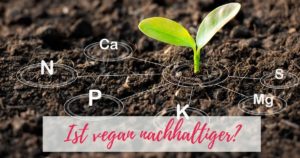 Ist vegan nachhaltiger?